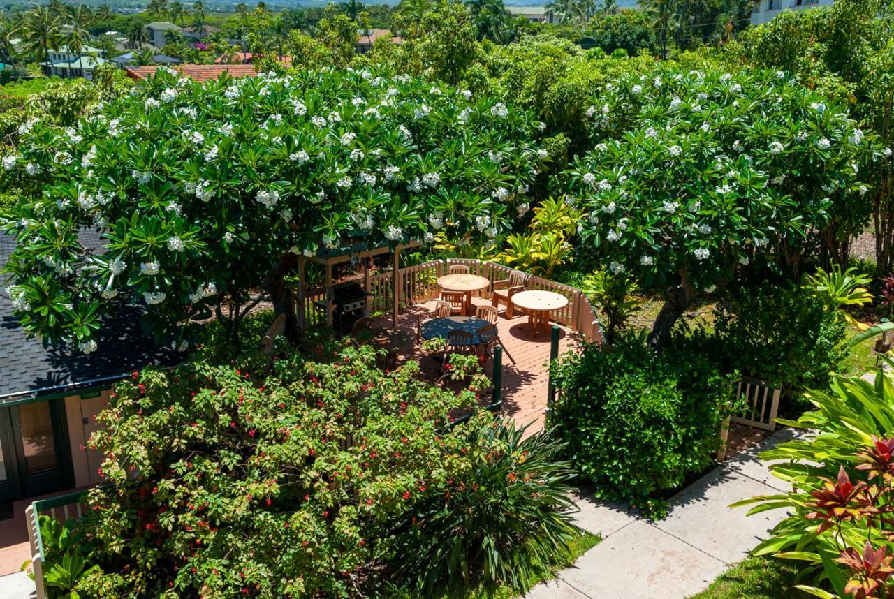Poipu Plantation Vacation Rentals 콜로아 외부 사진