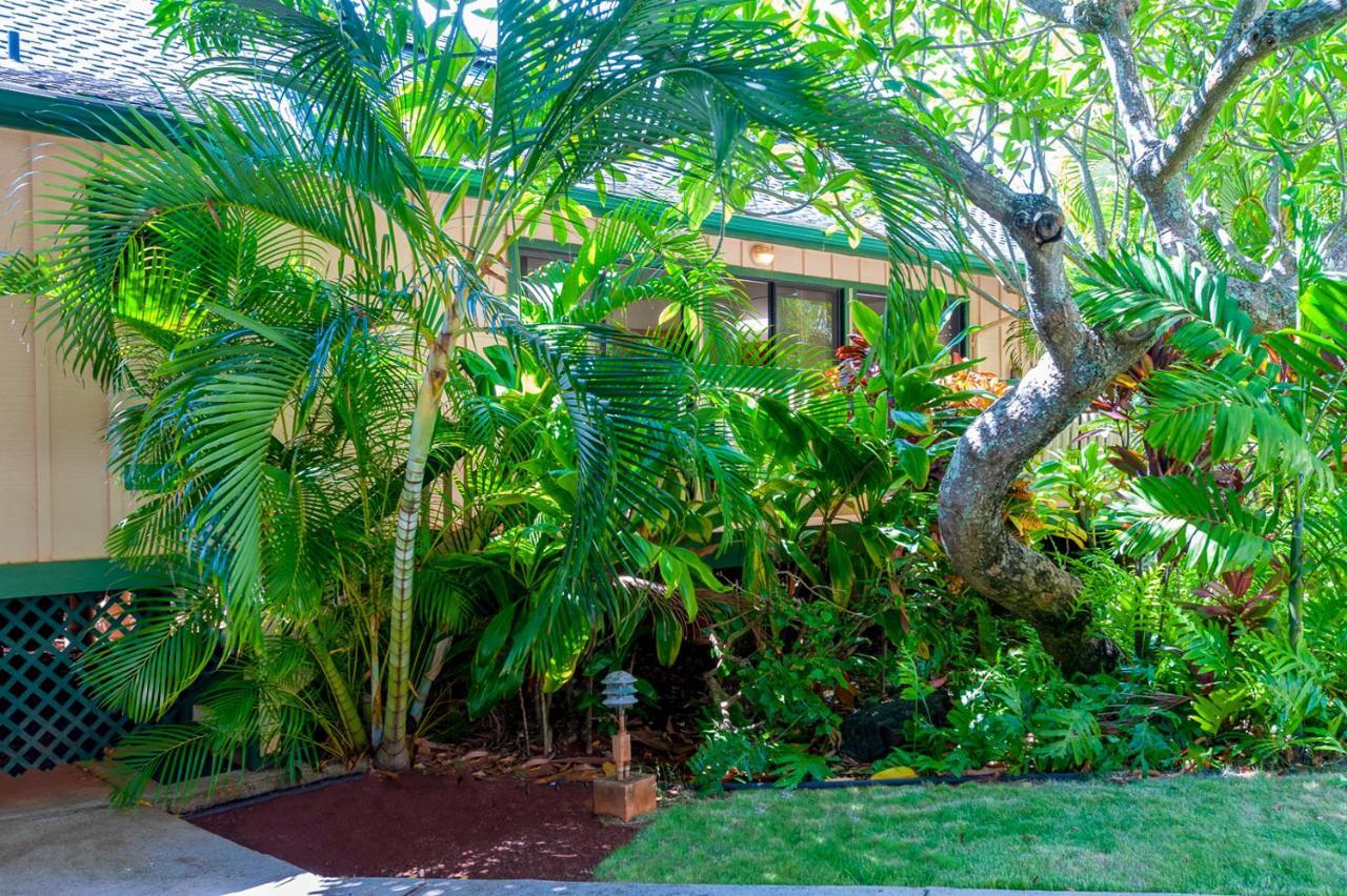 Poipu Plantation Vacation Rentals 콜로아 외부 사진